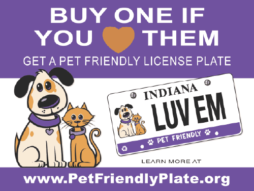 PetFriendlyPlate